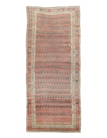 Antique Decorative Wool Rug - 3`10" x 9`4"