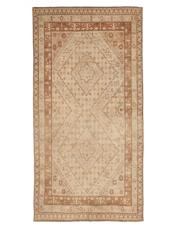 Washed Out Large Khotan Rug - 6`9