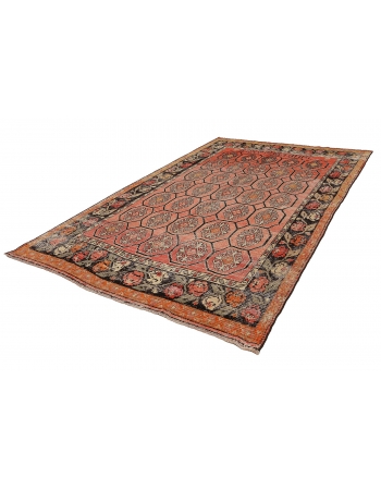 Vintage Decorative Samarkand Rug - 6`11